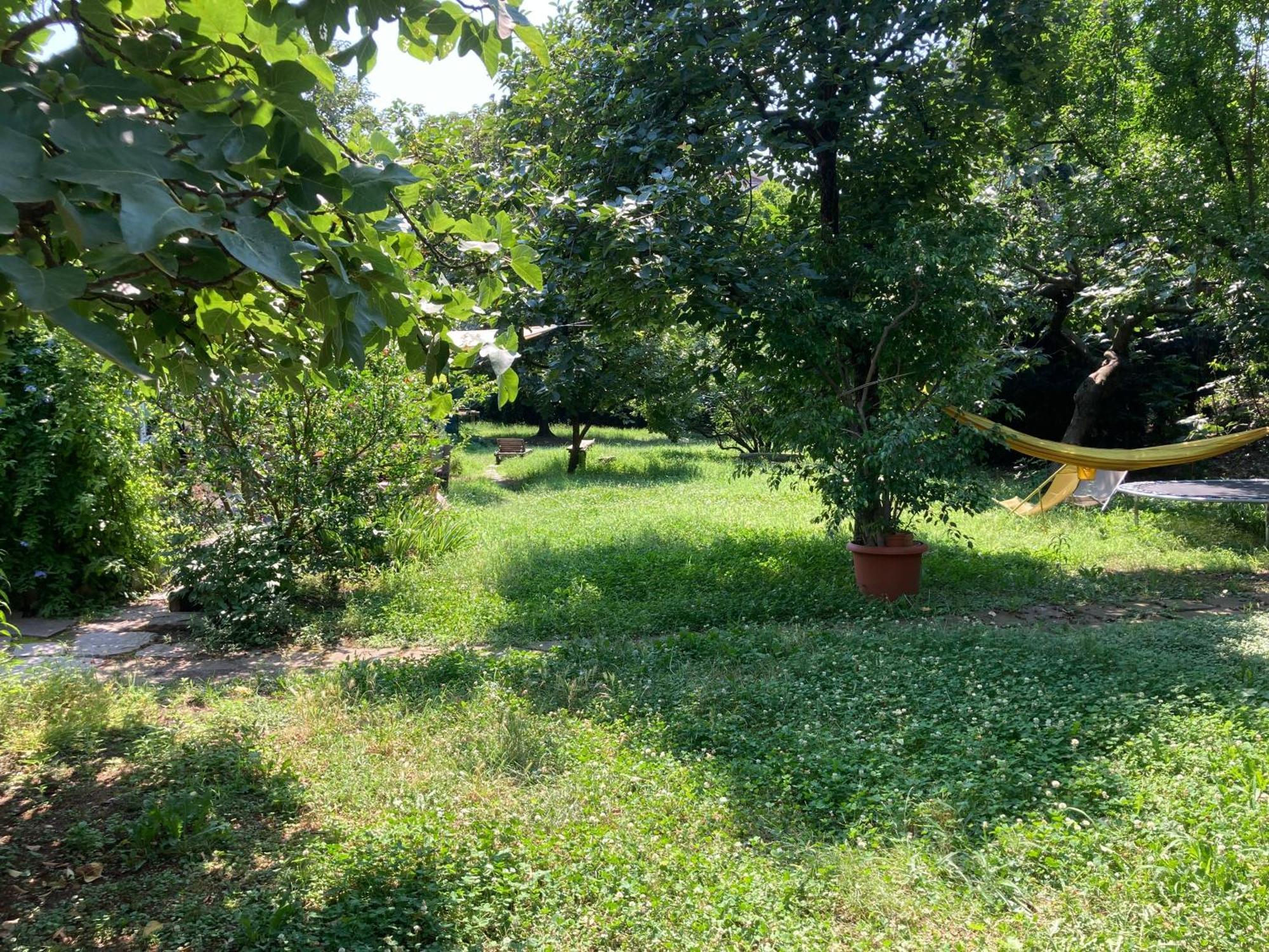 Green Oasis On Water In The Center Of Milánó Kültér fotó